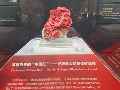 -湖南省地质博物馆