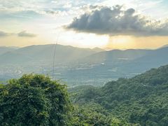 -三亚亚龙湾人间天堂鸟巢度假村