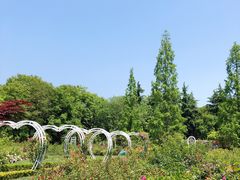 -昆山城市生态森林公园