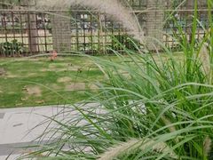 -福田农产品批发市场有限公司蔬菜交易区