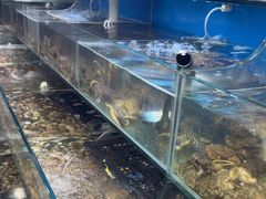 -仙螺岛海鲜自助餐厅(总店)