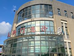 -上海市第六人民医院(临港院区)