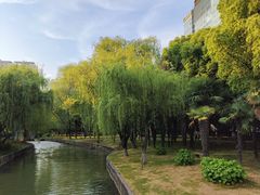 -中央公园(苏州工业园区)