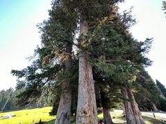 -新疆那拉提国家旅游度假区