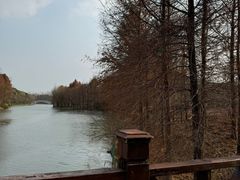 -自然谷恐龙园