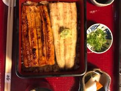 -料亭菊水楼