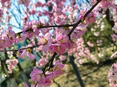 -北京奥林匹克公园
