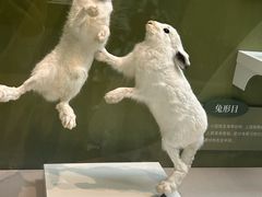 -国家自然博物馆