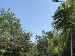 -绿堤公园