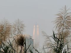 -福田红树林生态公园