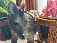 -慢丽江·云南野生菌土鸡锅(付家庄店)
