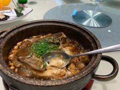 -海派美食·家宴海鲜青岛菜·石锅鲽鱼头(东方城店)