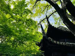 -汇龙潭