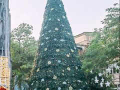 -圣约瑟夫大教堂