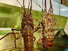 -碗中海·蒸汽海鲜·桑拿鸡(岭南天地店)