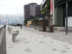 -星光大道