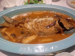 -阿五黄河大鲤鱼(英协路店)
