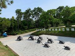 -广东惠东海龟国家级自然保护区