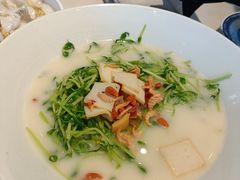 上汤豆苗-禄鼎记·多口味酸菜鱼(侨鑫店)