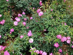 -人民公园(罗湖区)