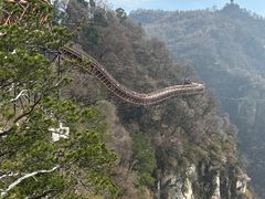 -少华山国家森林公园