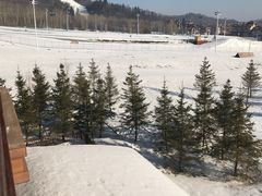 -长白山万达喜来登度假酒店