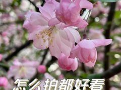 -上海辰山植物园