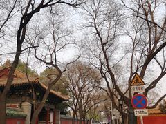 -北京国子监胡同