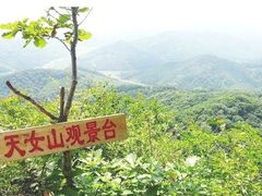 -天女山森林公园