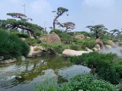 -罗红摄影艺术馆