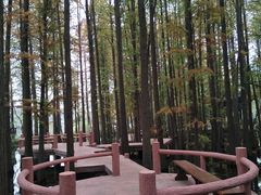 -东湖落雁景区