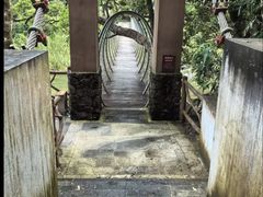 -海南热带雨林国家公园吊罗山景区