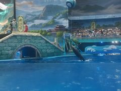 -海合安成都极地海洋公园