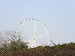 -宜兴龙背山森林公园