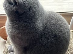 -爱侣宠医·鹦鹉专科·小型哺乳类·异宠专科(灵石路店)