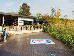 -昆山城市生态森林公园