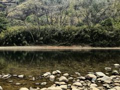 -武夷山风景名胜区-玉女峰