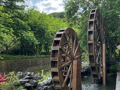 -广州白江湖森林公园