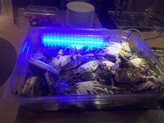 -舟山朱家尖威斯汀酒店·知味标帜自助餐厅