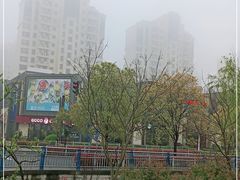 -糕潮(森兰店)