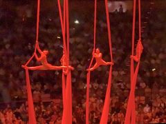 -俄罗斯国家大马戏团