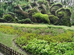 -上海共青森林公园