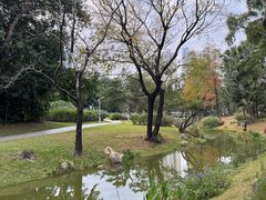 -人民公园(罗湖区)