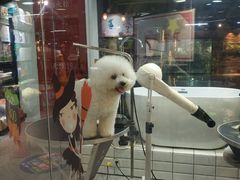 -宠物世家(仲盛世界商城店)