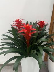 -和颜一美轻医美连锁