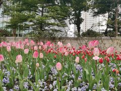 -静安公园(静安寺街道)