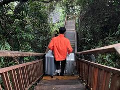 -三亚亚龙湾人间天堂鸟巢度假村