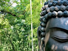 -杭州植物园