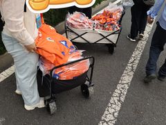 -济南奥林匹克体育中心体育场