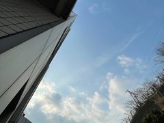 -胡世羊肉汤(南街店)